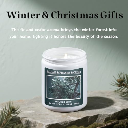 Christmas Tree Fir Pine Candles Y7936