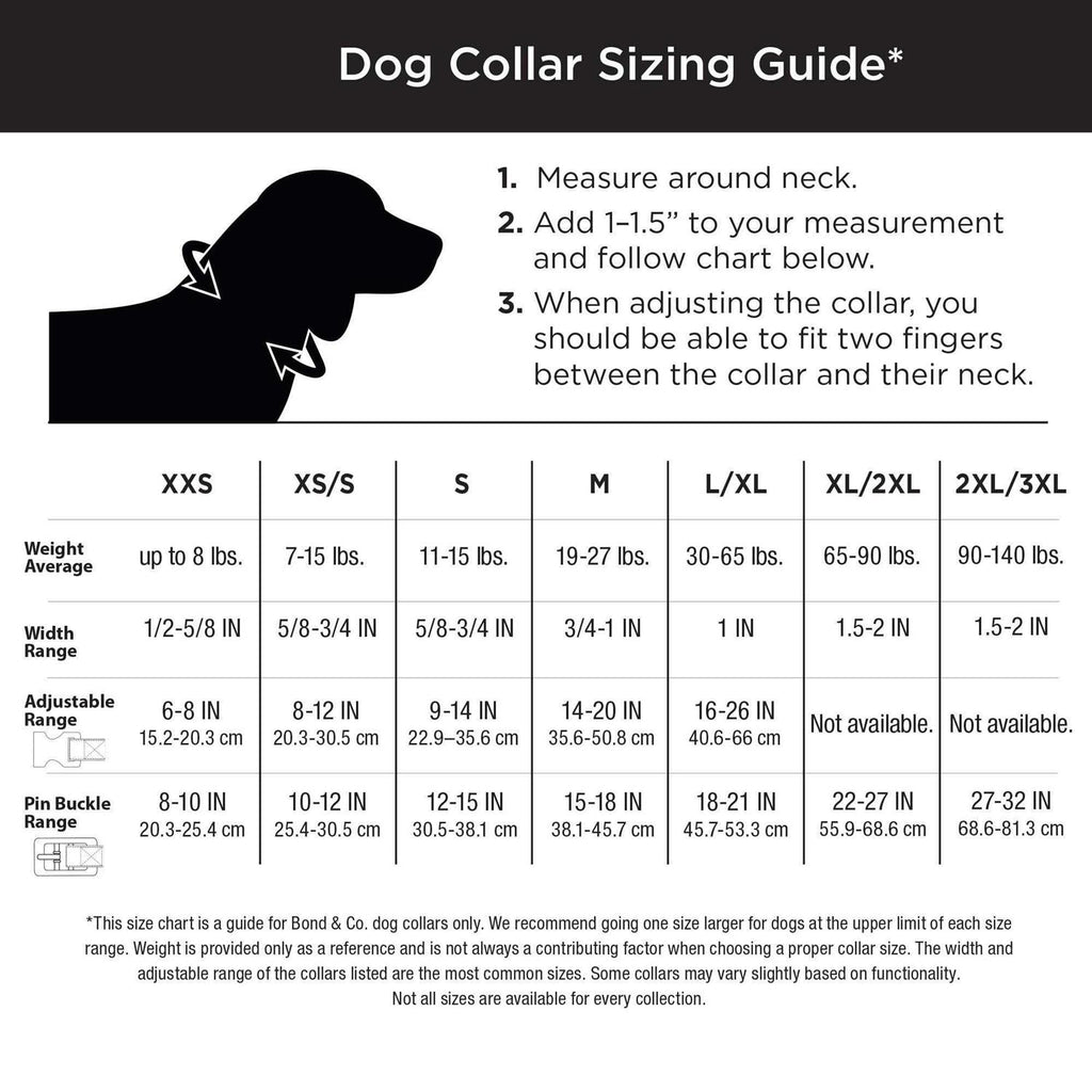 Purple Ombre Wipeable Dog Collar S6890