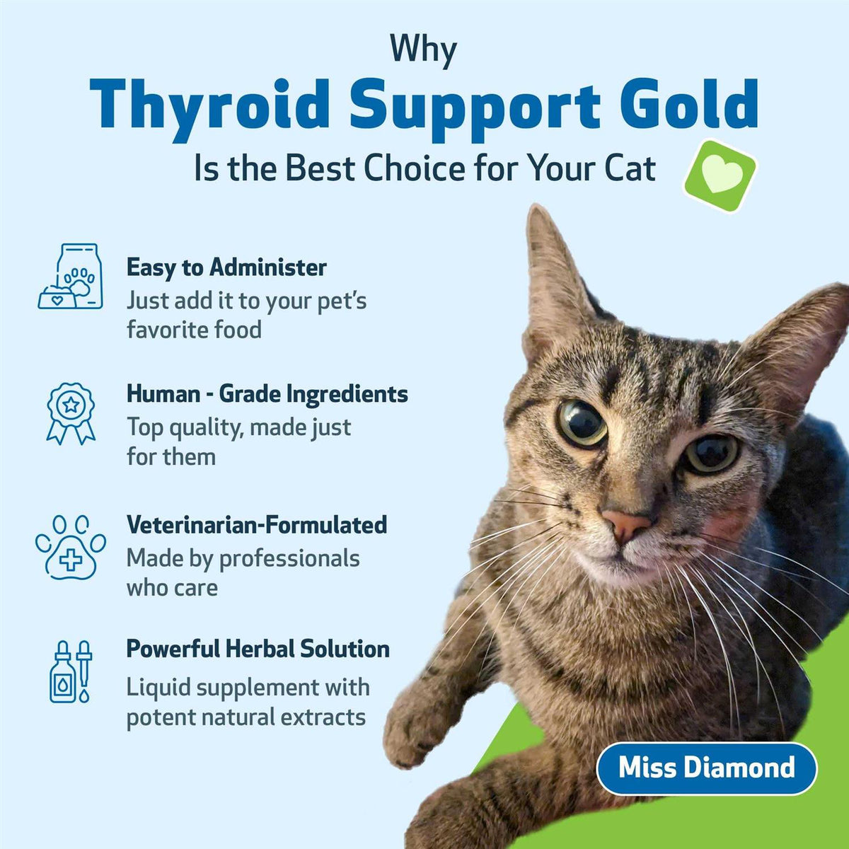 Thyroid Support Gold for Cats B913837