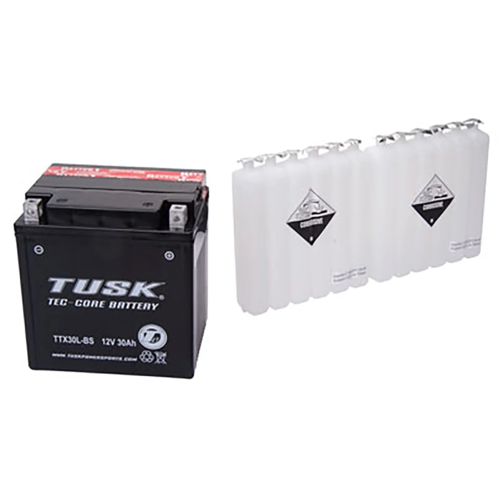 TTX30LBS Maintenance-Free Battery R72153