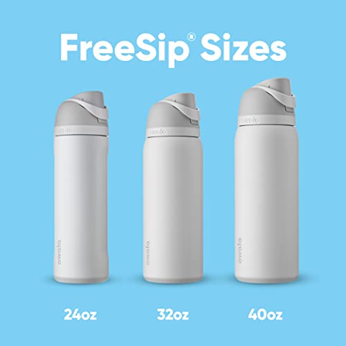 24 oz Insulated Stainless Steel Water Bottle with Straw N582529