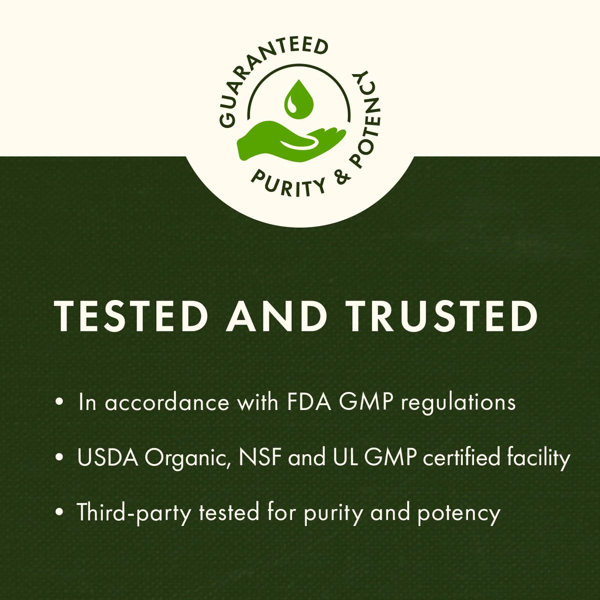 Garlic 500 mg 200 Capsules P1289