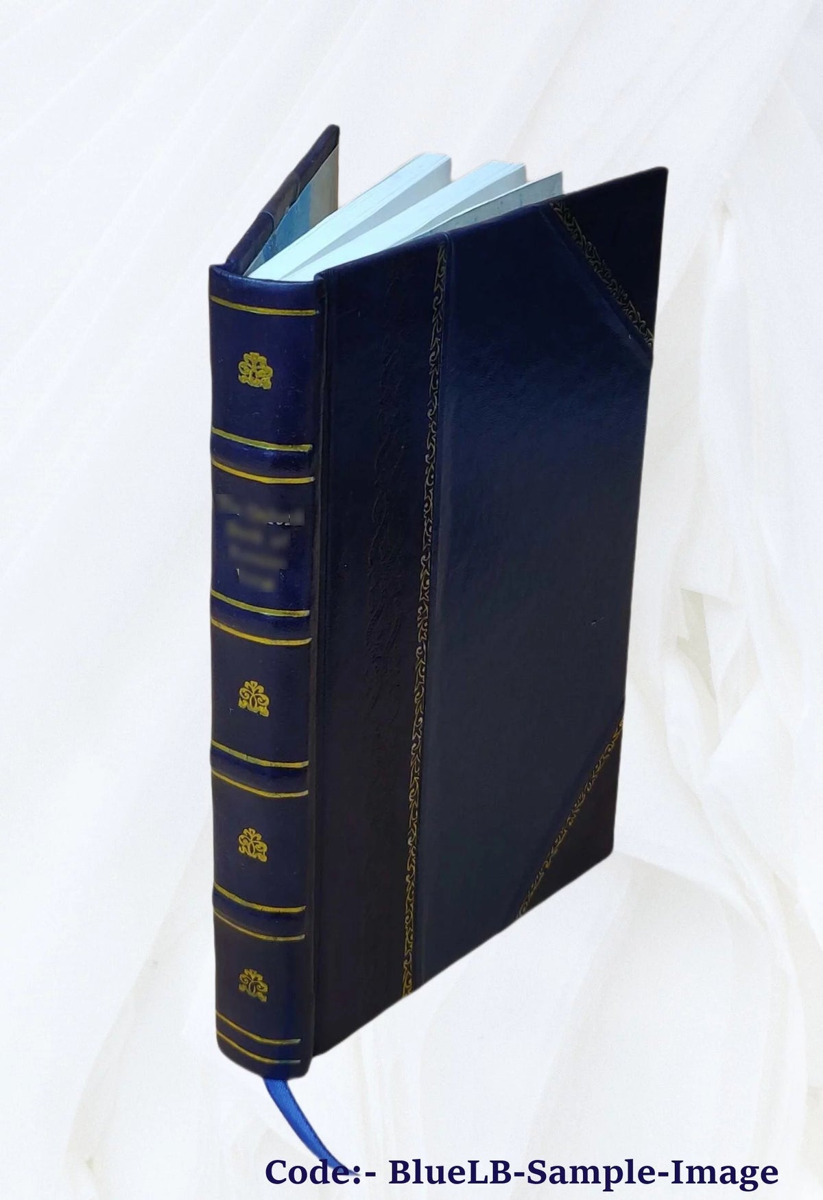Africa; or, Progress of the Prot. Epis. Mission at Cape Palmas, West Africa Y67927