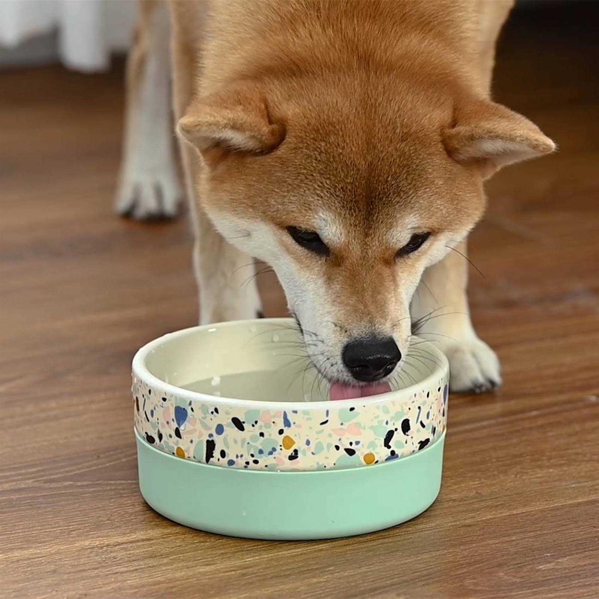 Flavorless Dental Rinse for Dogs I29516