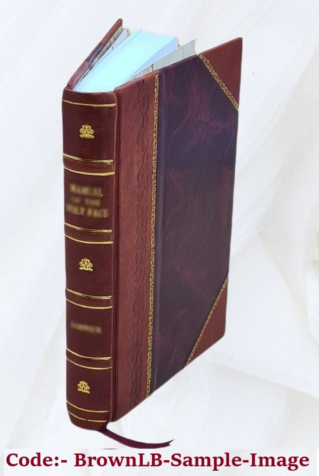 Africa; or, Progress of the Prot. Epis. Mission at Cape Palmas, West Africa Y67927