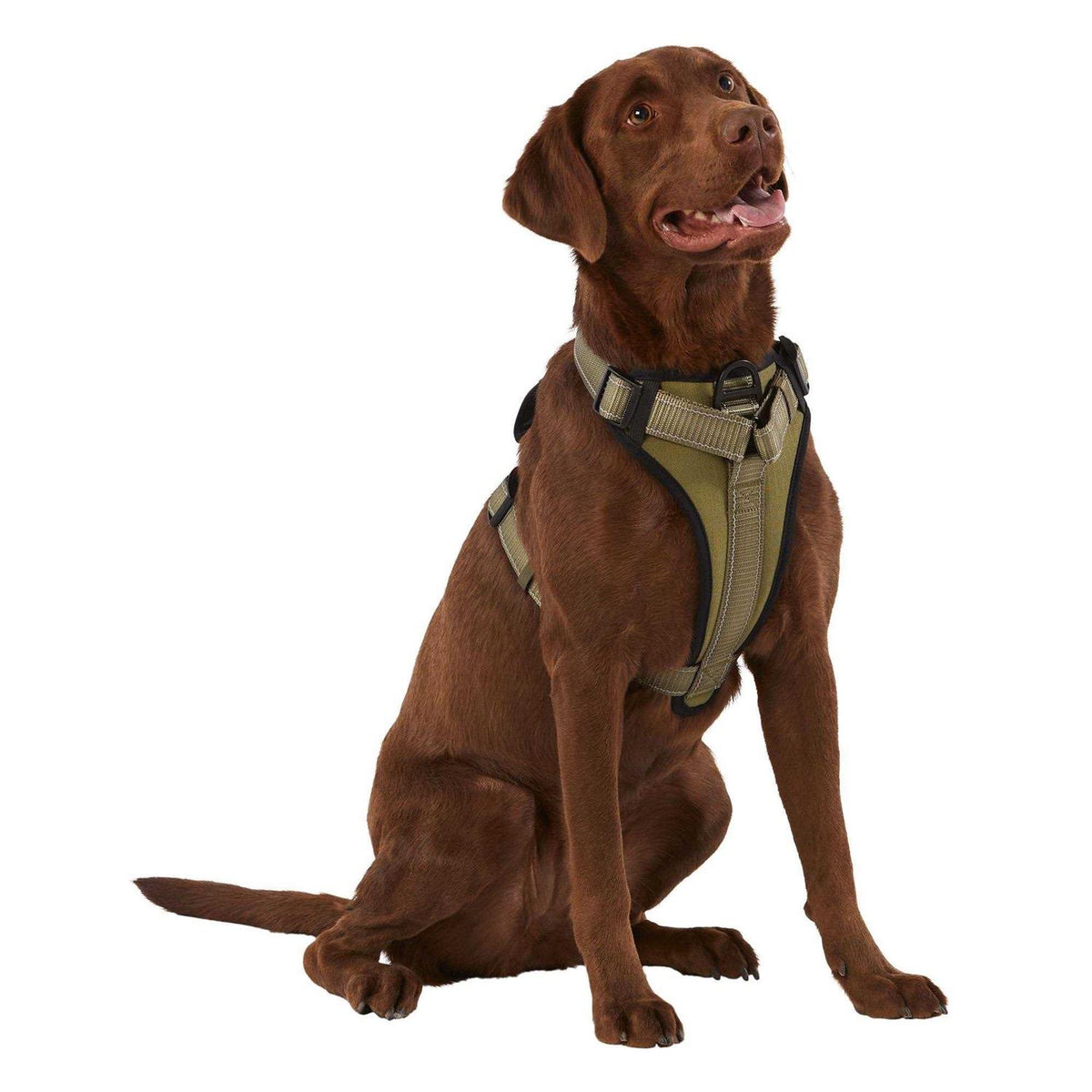 Neoprene Padded Dog Harness Z301130