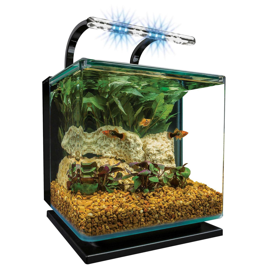 5 Gallon Kit P173768