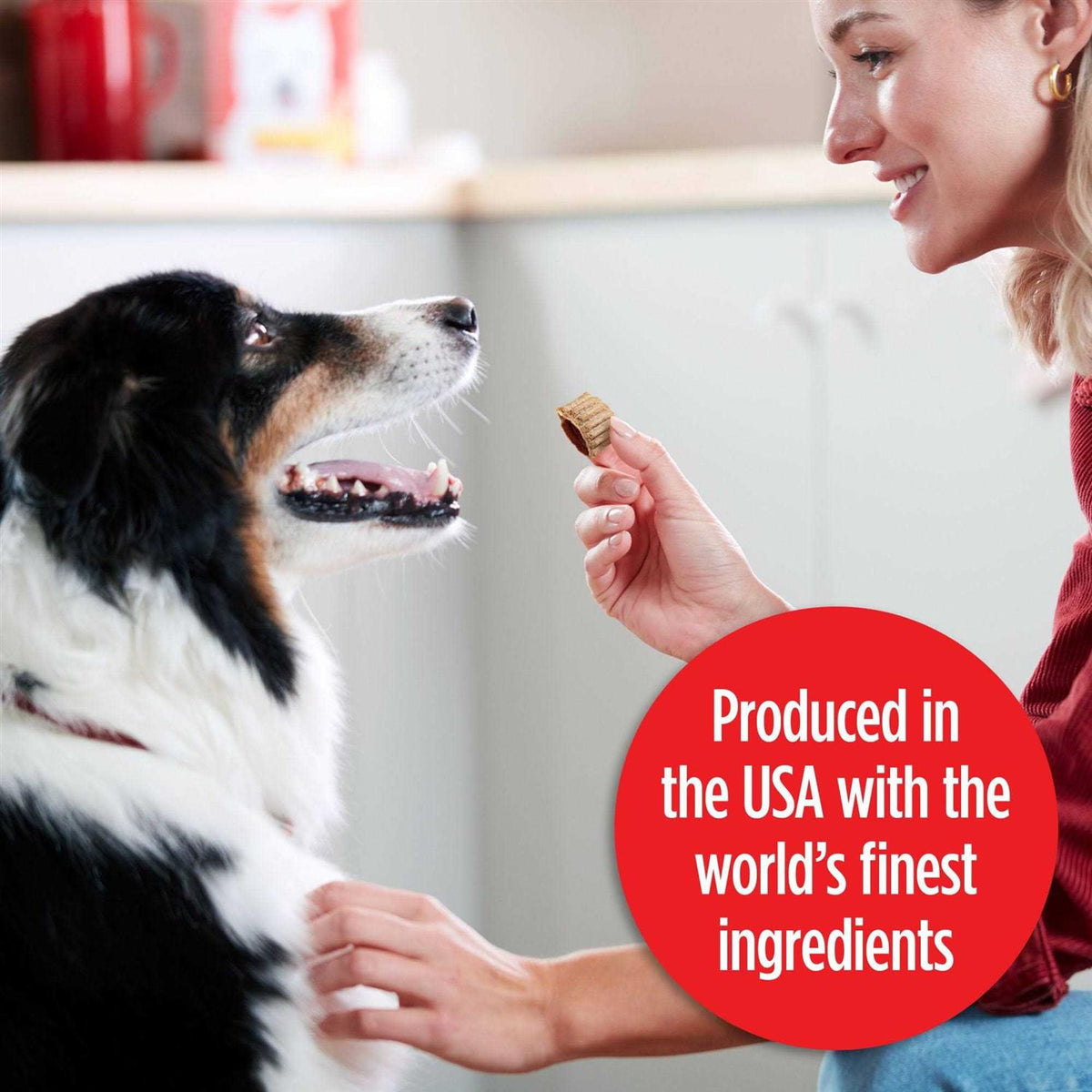Stuffed Dog Treats Bacon & Beef U8995