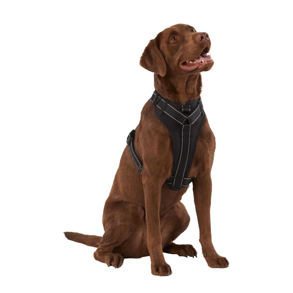 Neoprene Padded Dog Harness Z301130