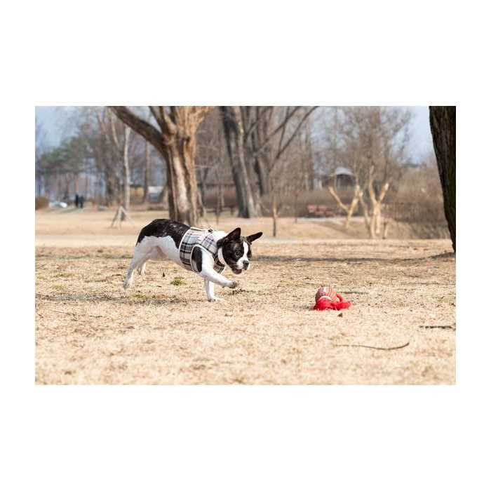 Dog Harness M107030