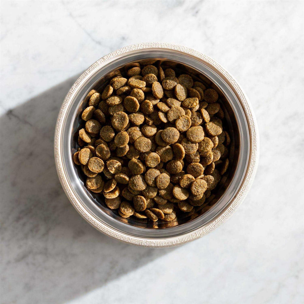 Grain Free Dog Food H8937