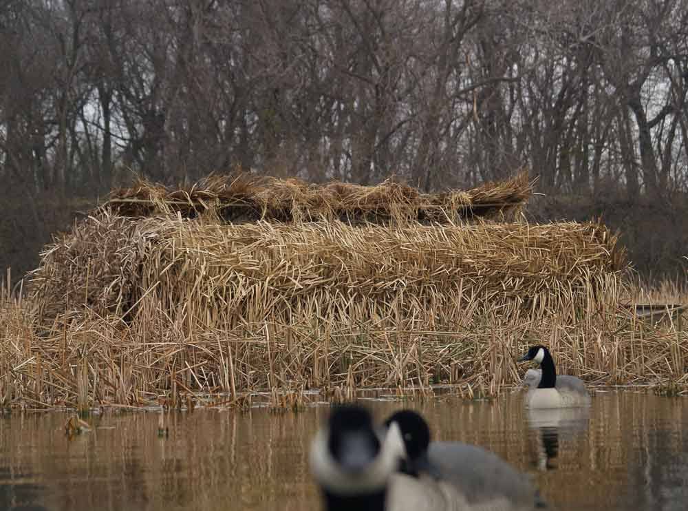 4 Pack Blind Concealment Y24676