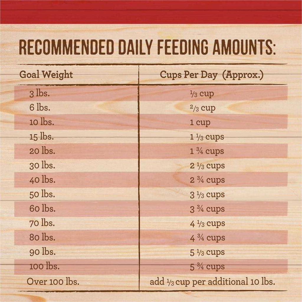 Healthy Grains Freeze Dried Raw Coated Kibble Dry Dog Food Brown Rice Recipe Y194157