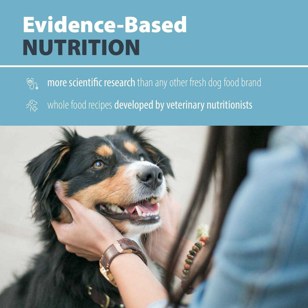 Beef Chicken Variety Pack Dog Fresh Food A574466