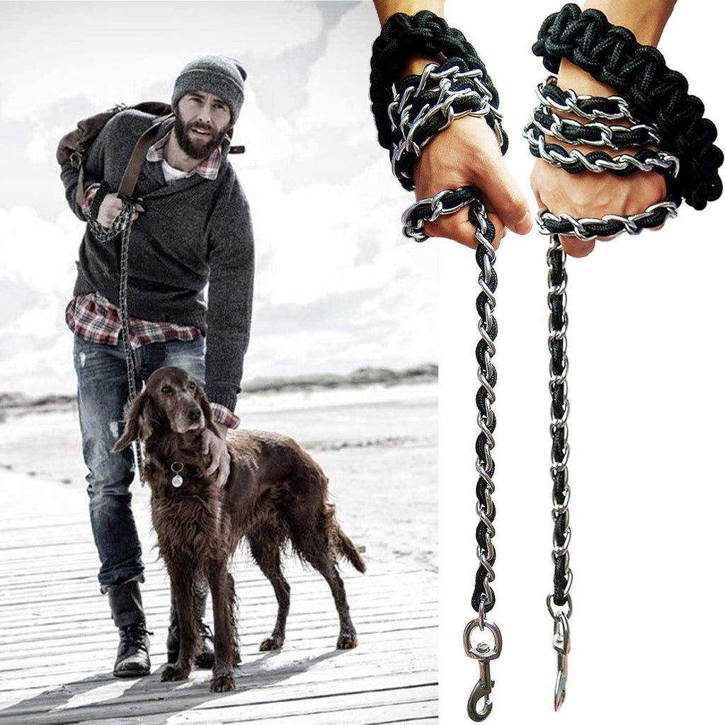 Heavy Duty Metal Dog Leash with Collar Y399