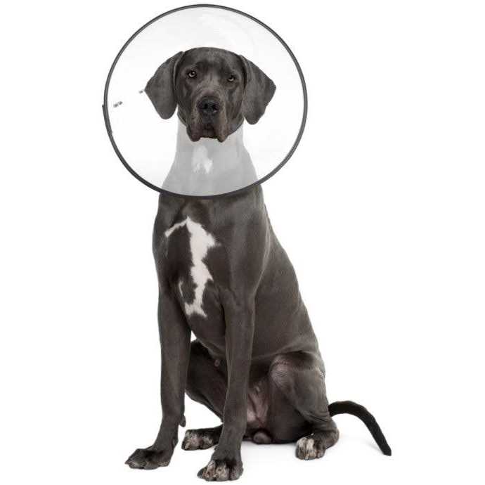 Clear Recovery Collar D79158