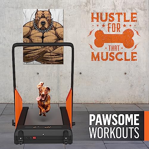 Dog Treadmill for Small and Medium Dogs V400431