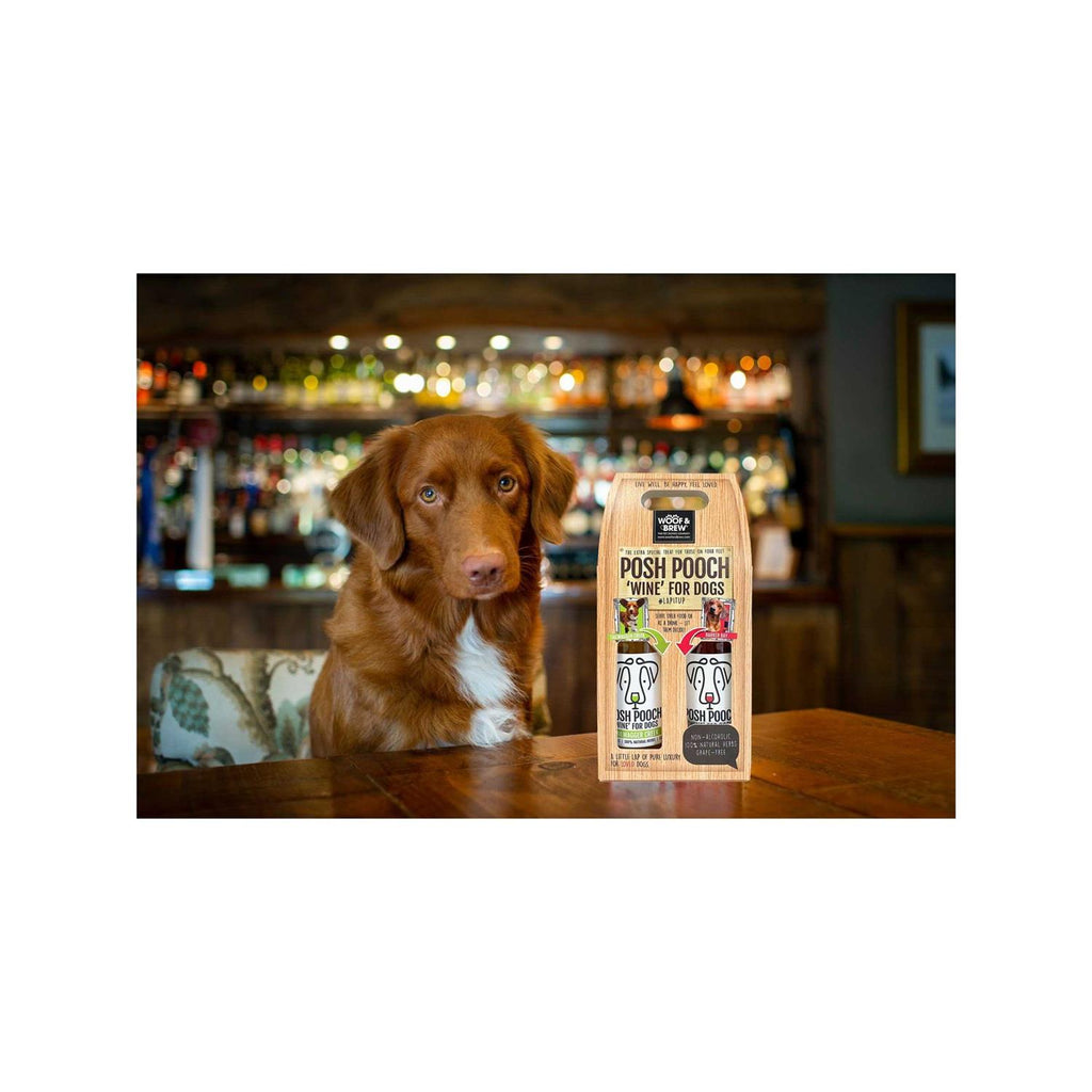 Dog Wine Duo Pack D972104
