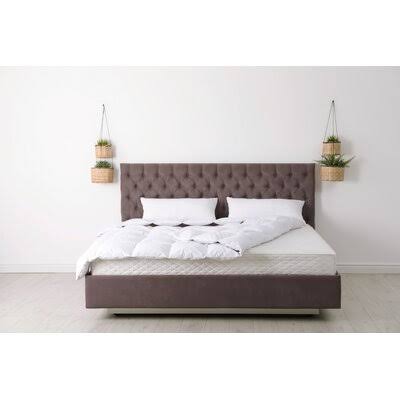 10” Medium Memory Foam Mattress Twin XL A934