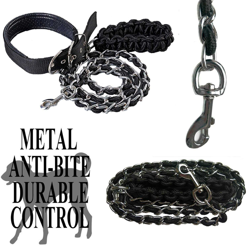 Heavy Duty Metal Dog Leash with Collar Y399