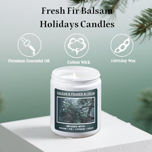 Christmas Tree Fir Pine Candles Y7936