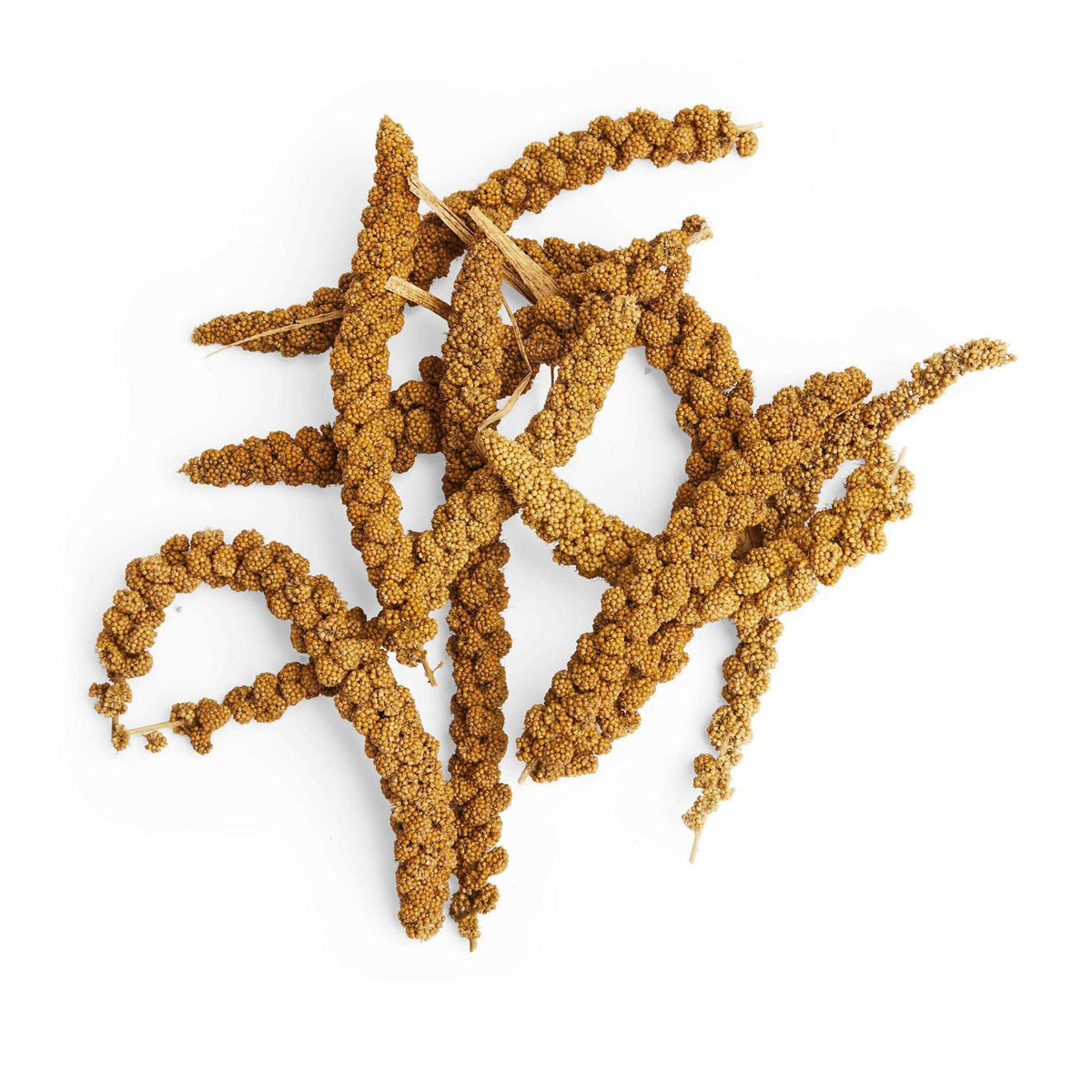 Spray Millet Pet Supplies V858491