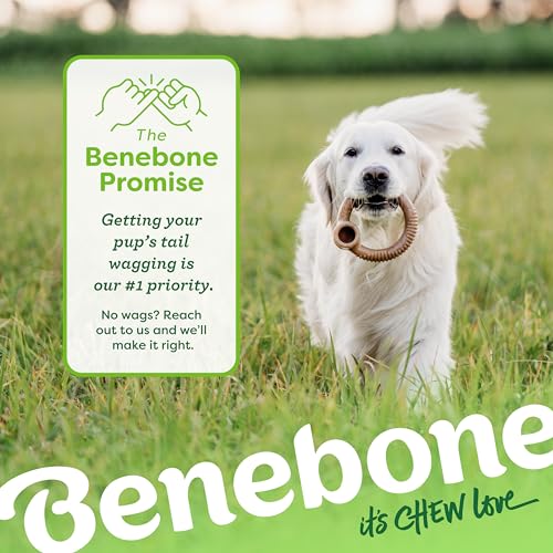 Durable Chew Toy for Aggressive Chewers D766748