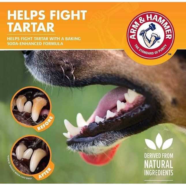 Flavorless Dental Rinse for Dogs I29516