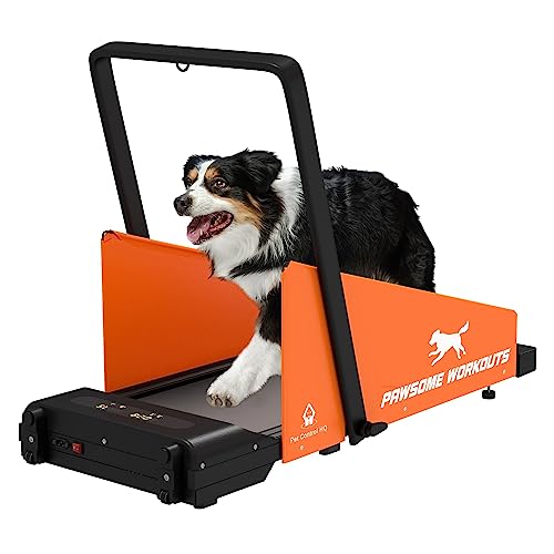 Dog Treadmill for Small and Medium Dogs V400431