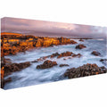 Canvas Art X73204