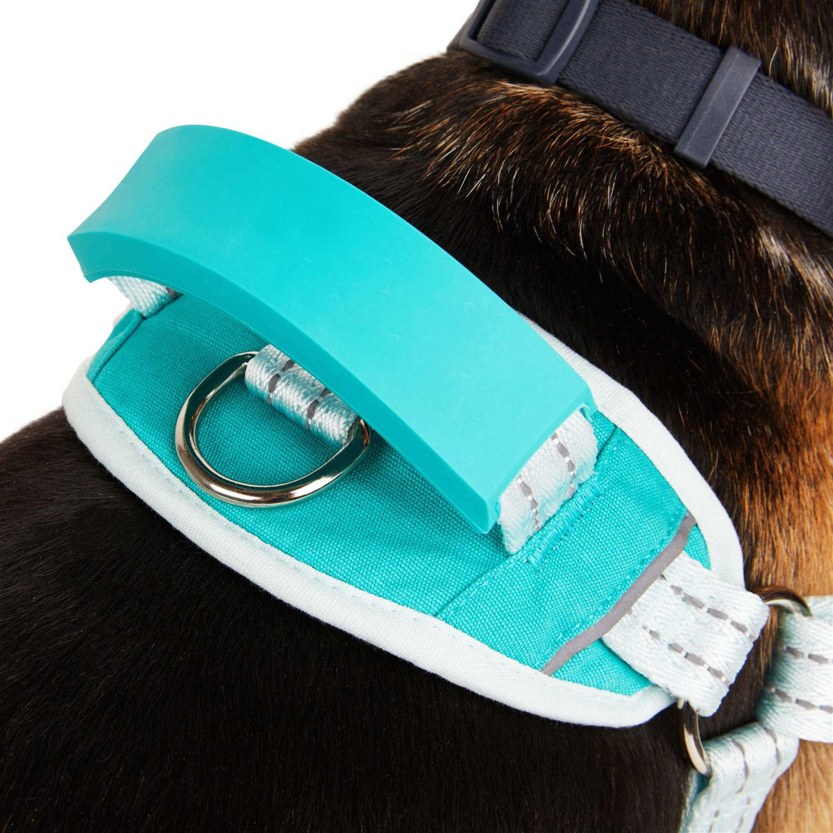 Easy On Training Dog Harness V46654