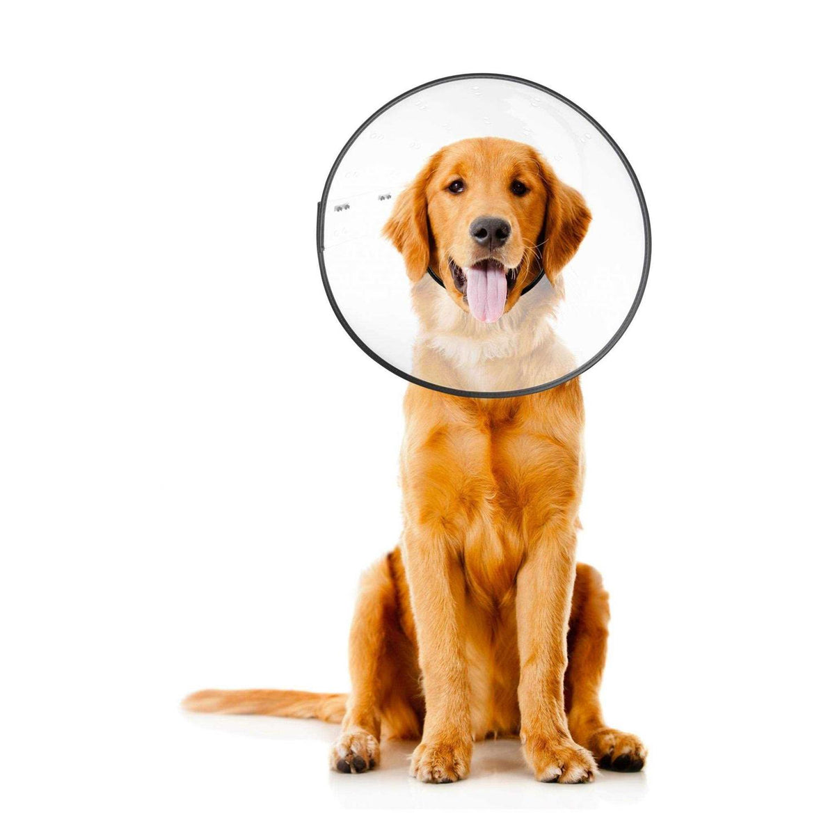 Clear Recovery Collar D79158