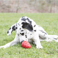 All Natural Peanut Butter Pet Supplies T364