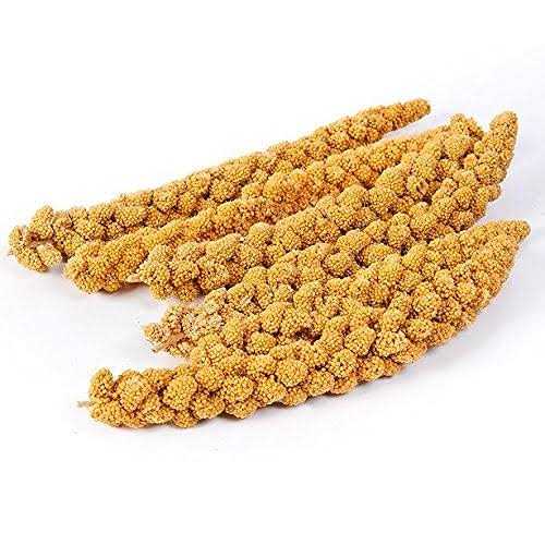 Spray Millet Pet Supplies V858491