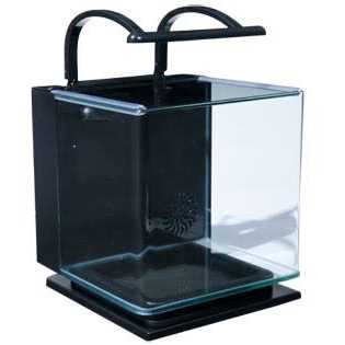 5 Gallon Kit P173768