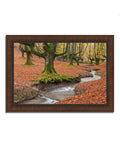 Framed Photograph Print Z38470