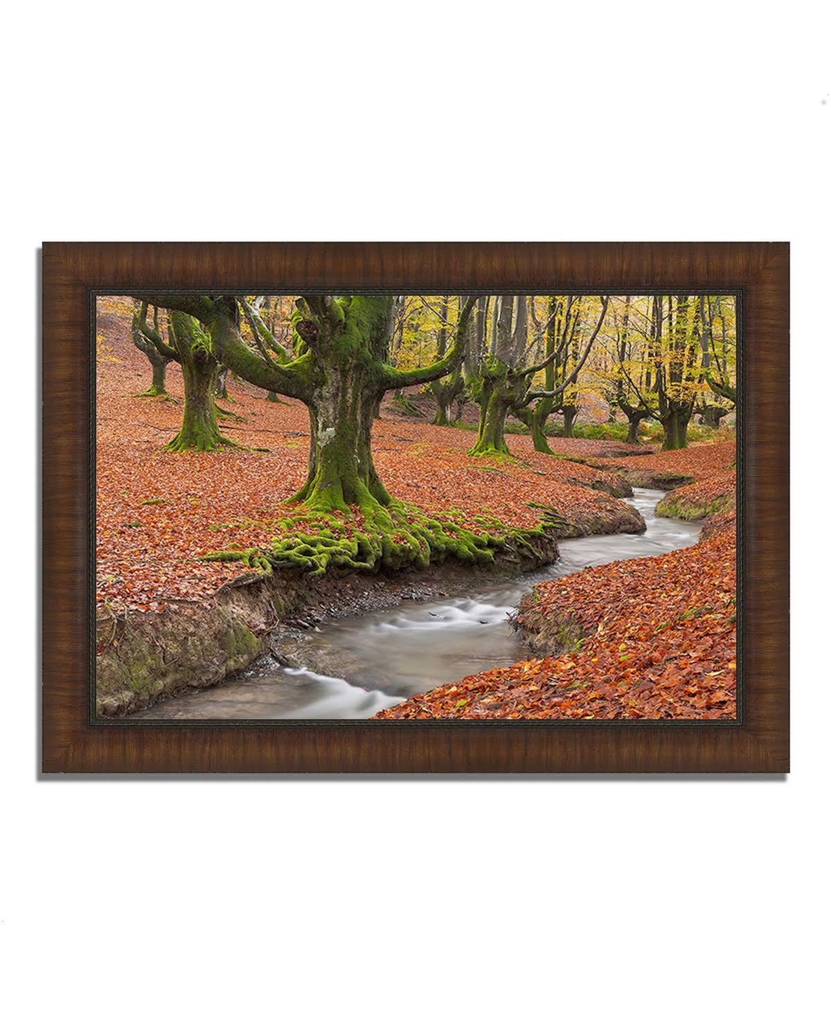 Framed Photograph Print Z38470