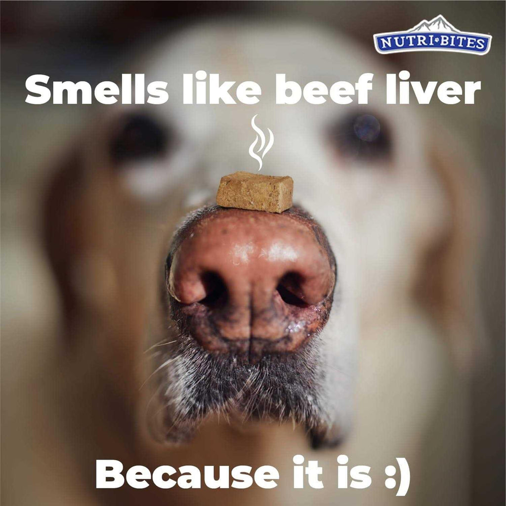 Freeze Dried Beef Liver Dog & Cat Treats S55975