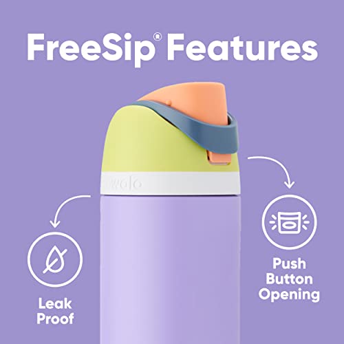 24 oz Insulated Stainless Steel Water Bottle with Straw N582529