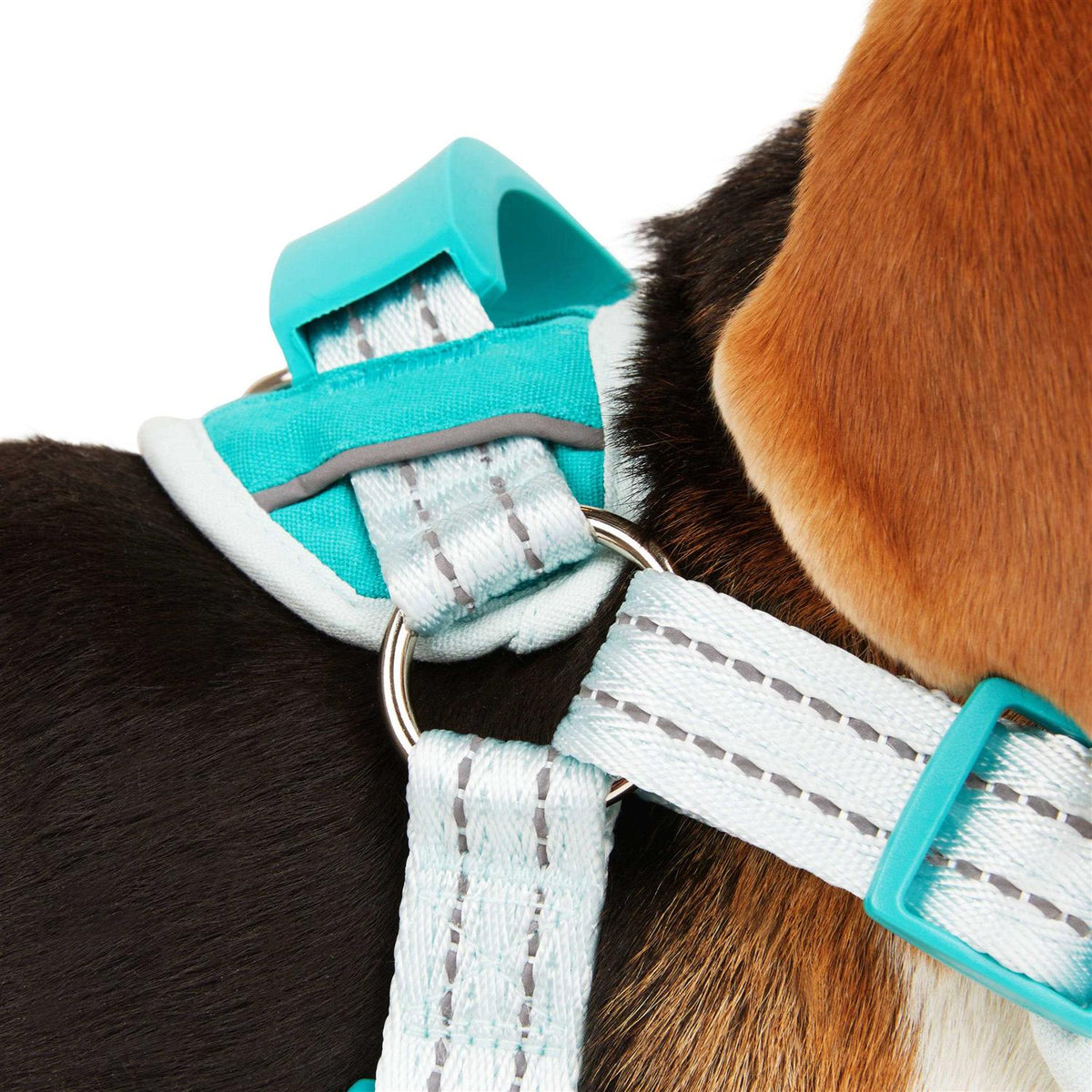 Easy On Training Dog Harness V46654