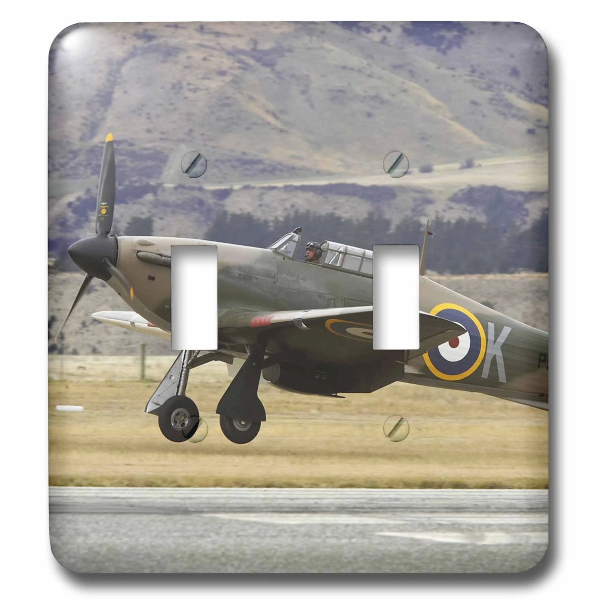Double Toggle Switch Y949