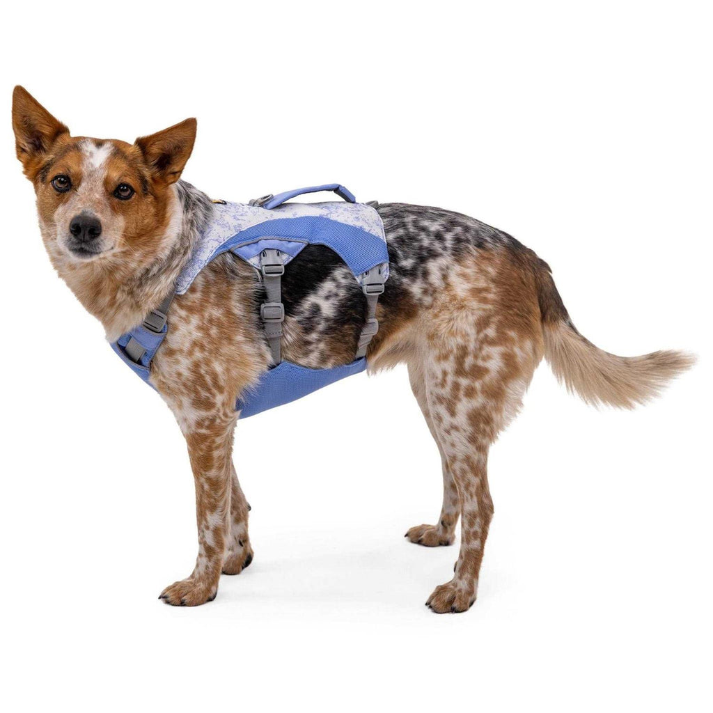 Dog Harness Z105