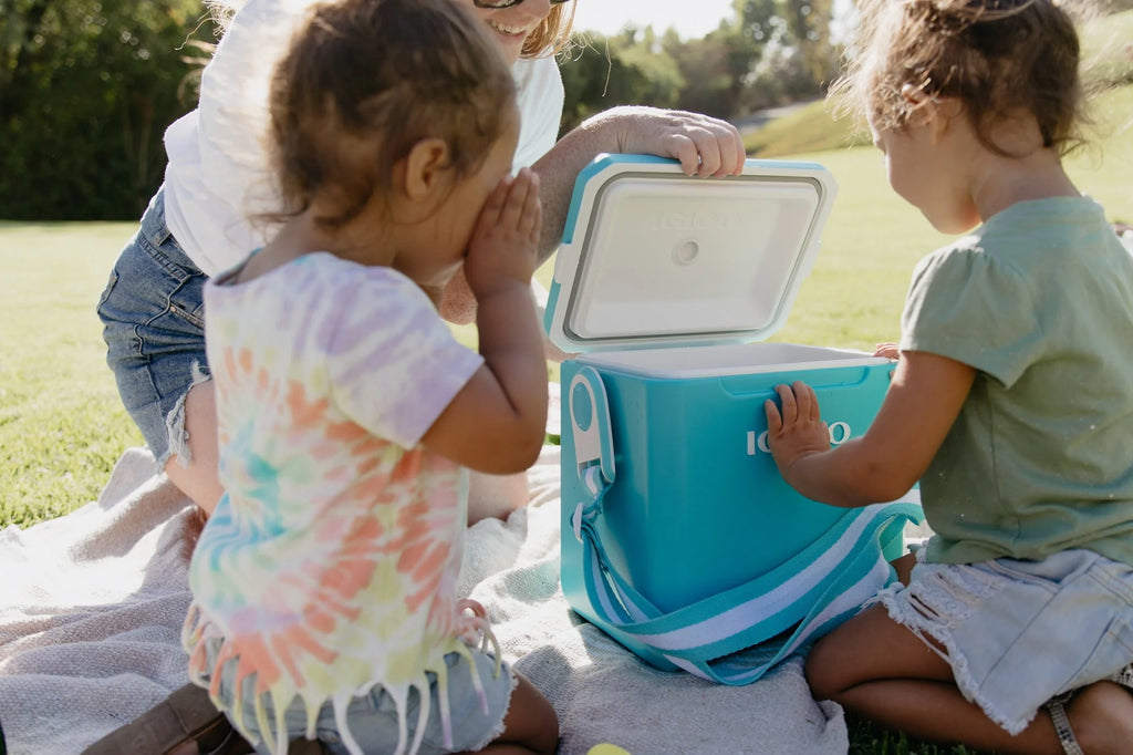 11 QT. Hard Side Cooler O1083