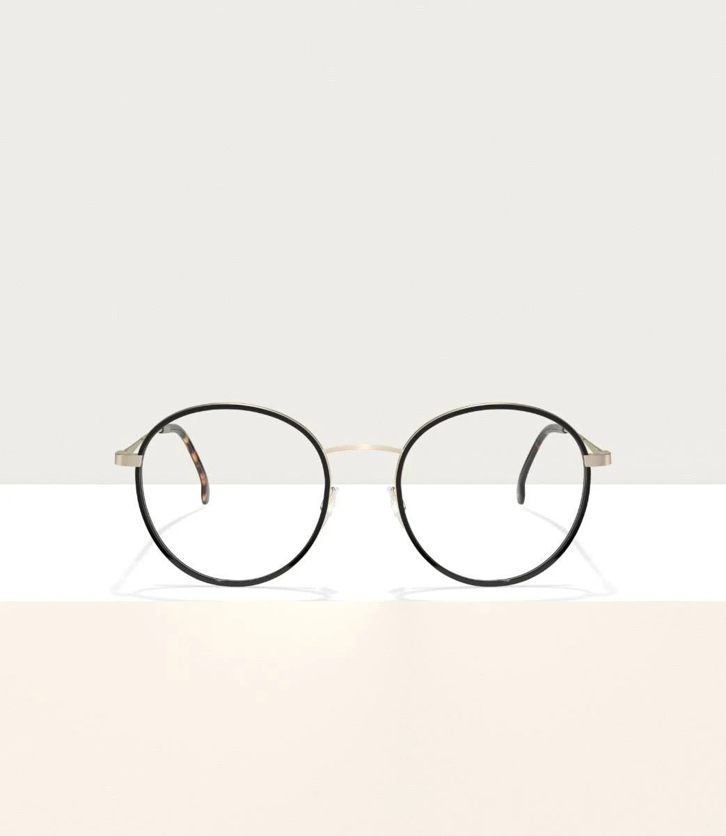 Gold Black Eyeglasses H289356