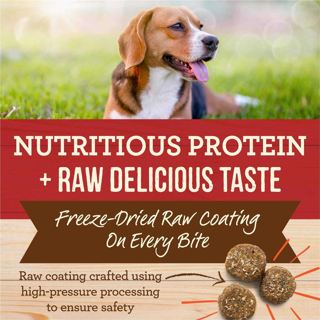 Healthy Grains Freeze Dried Raw Coated Kibble Dry Dog Food Brown Rice Recipe Y194157