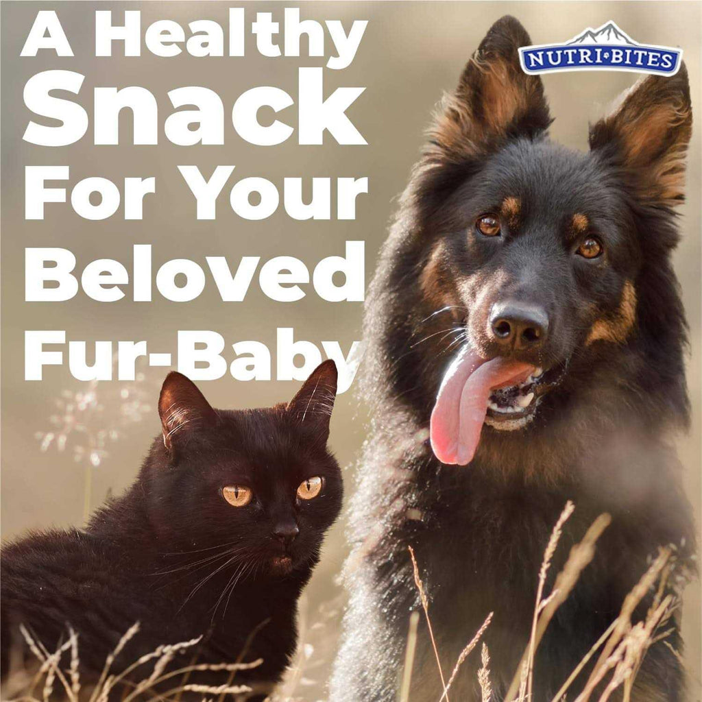 Freeze Dried Beef Liver Dog & Cat Treats S55975