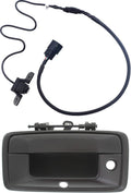 Primed Black Tailgate Handle with Back Up Camera N3184