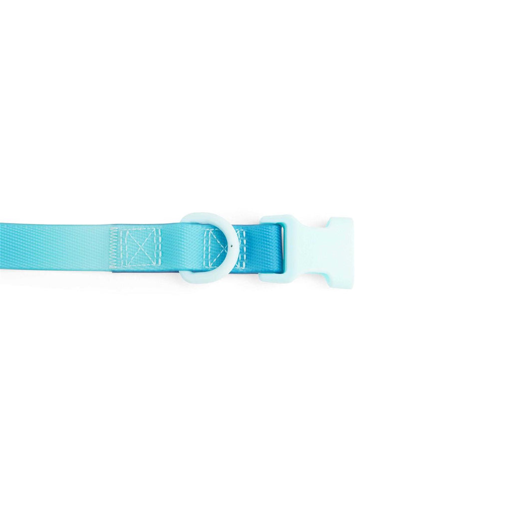 Purple Ombre Wipeable Dog Collar S6890