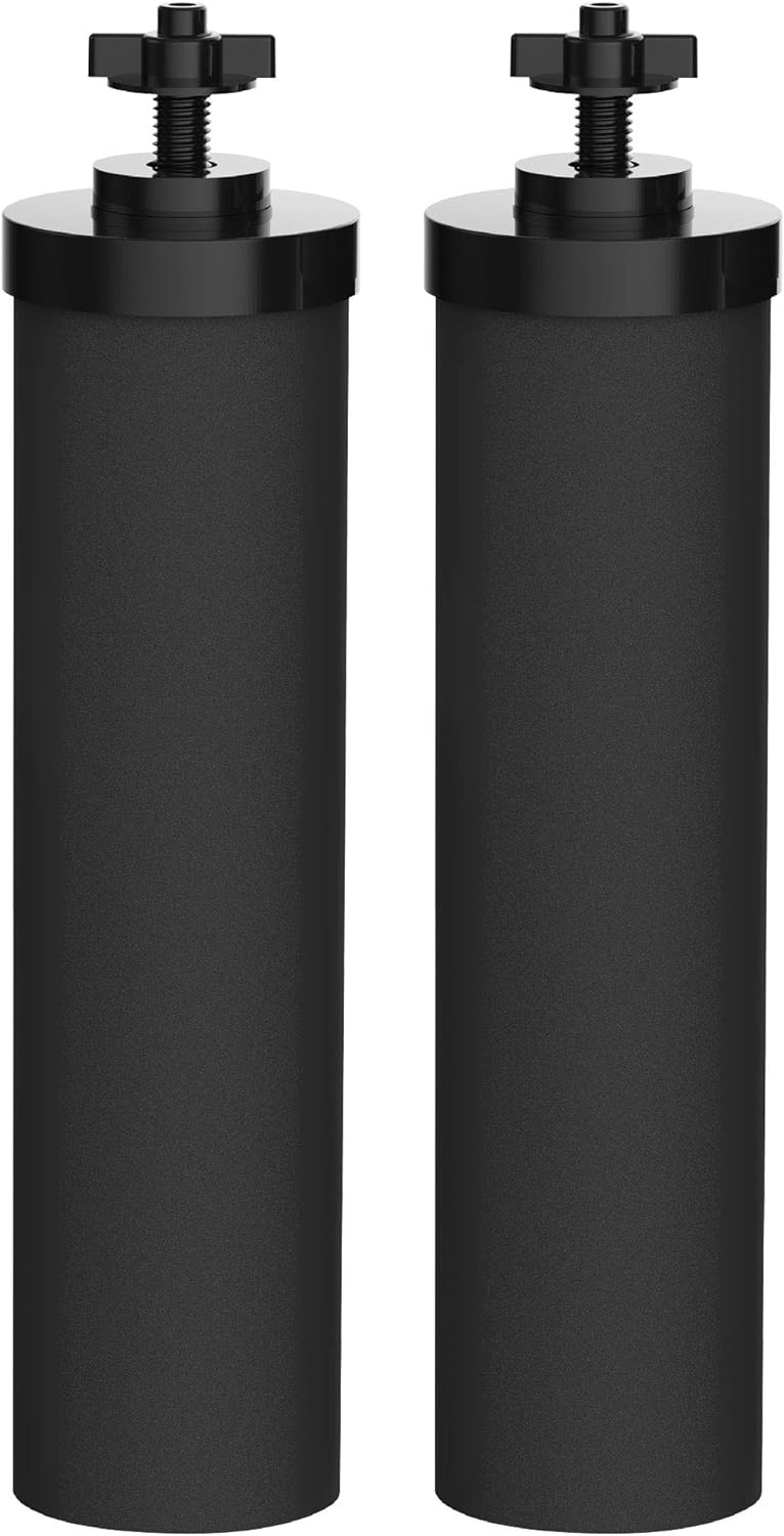 Water Filter Replacement Pack of 2 V716587