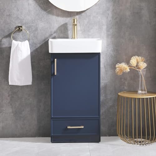 Blue 1 Door 1 Drawer Bathroom Vanity with Sink O457313